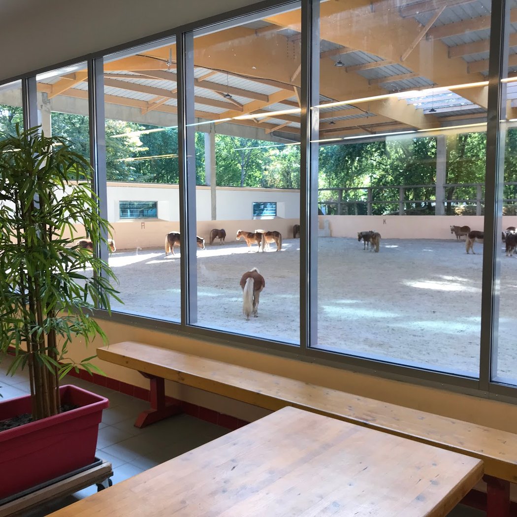 Centre Equestre de la Villette 2
