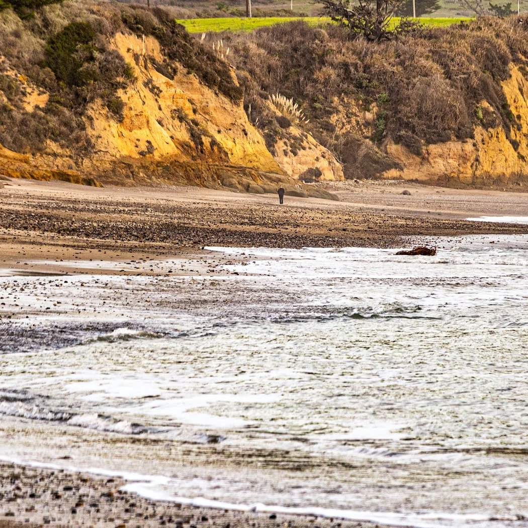 Cove Beach 3