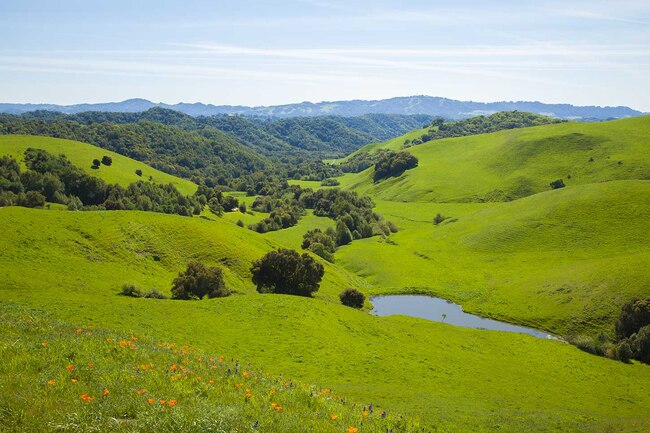 BRIONES REGIONAL PARK (Bear Creek to the Valley and Crest Trails) 1