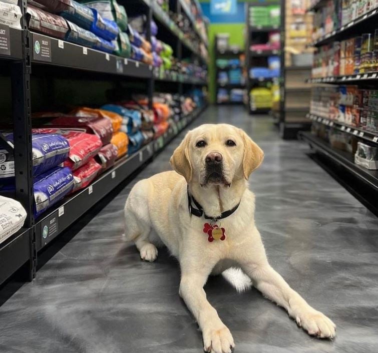 Pet Evolution Open House – June 13 1