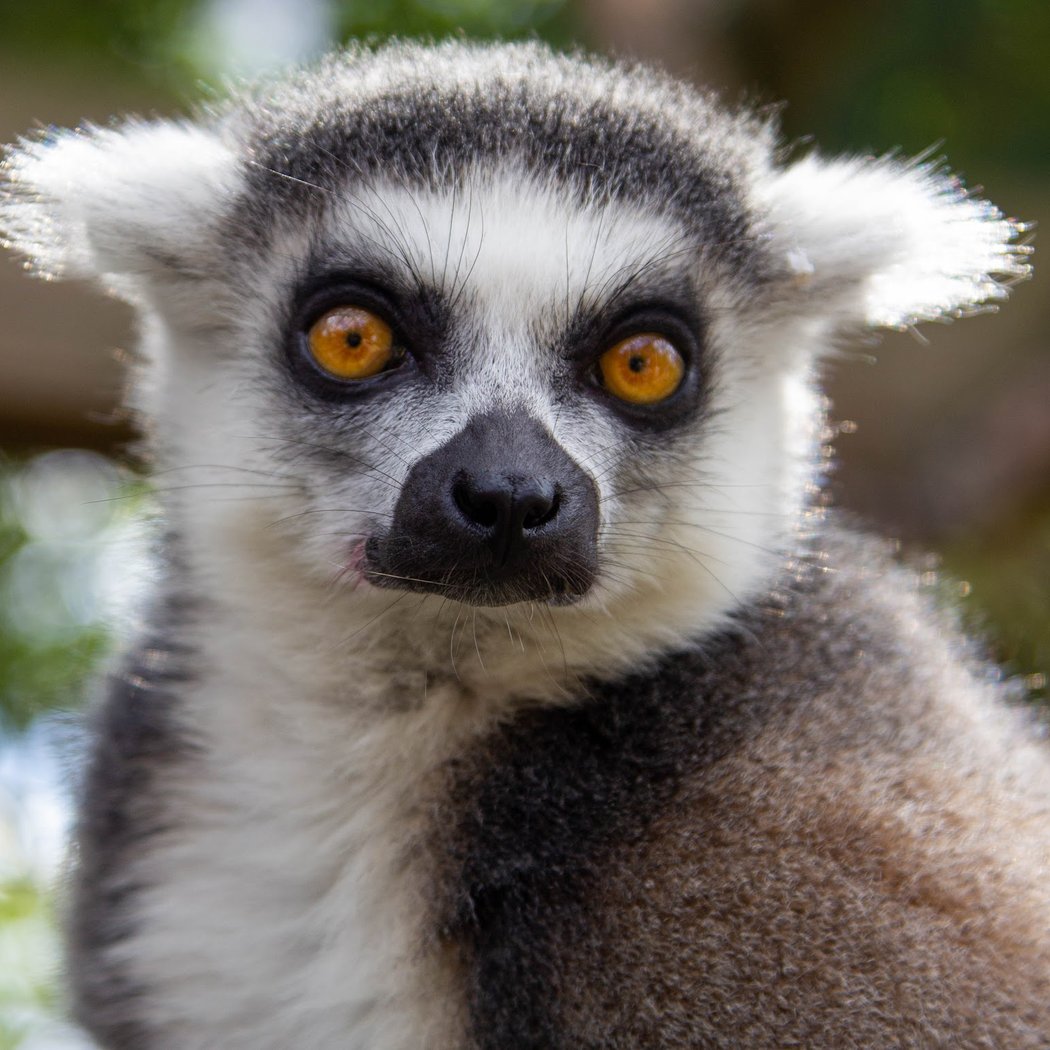 London Zoo 1