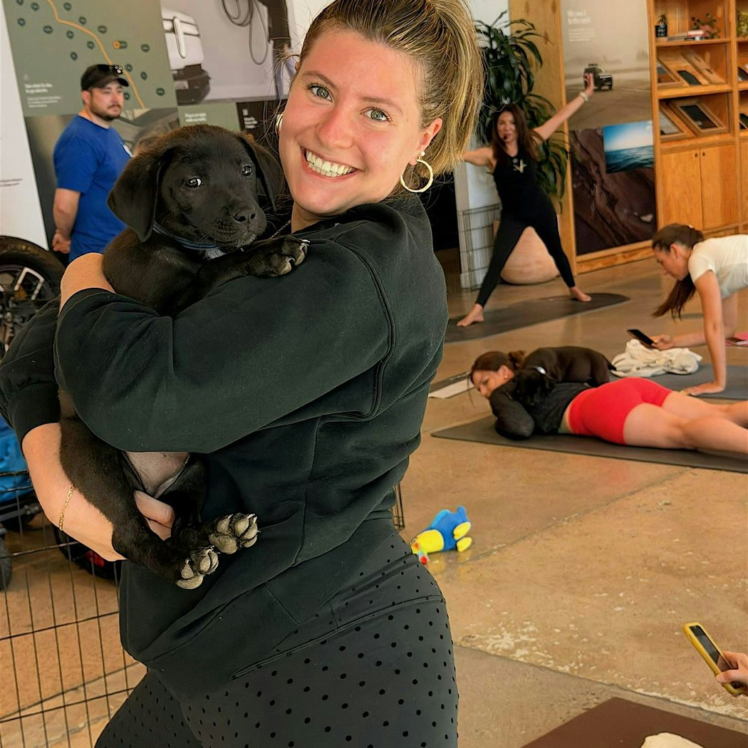 Rescue Puppy Yoga 2