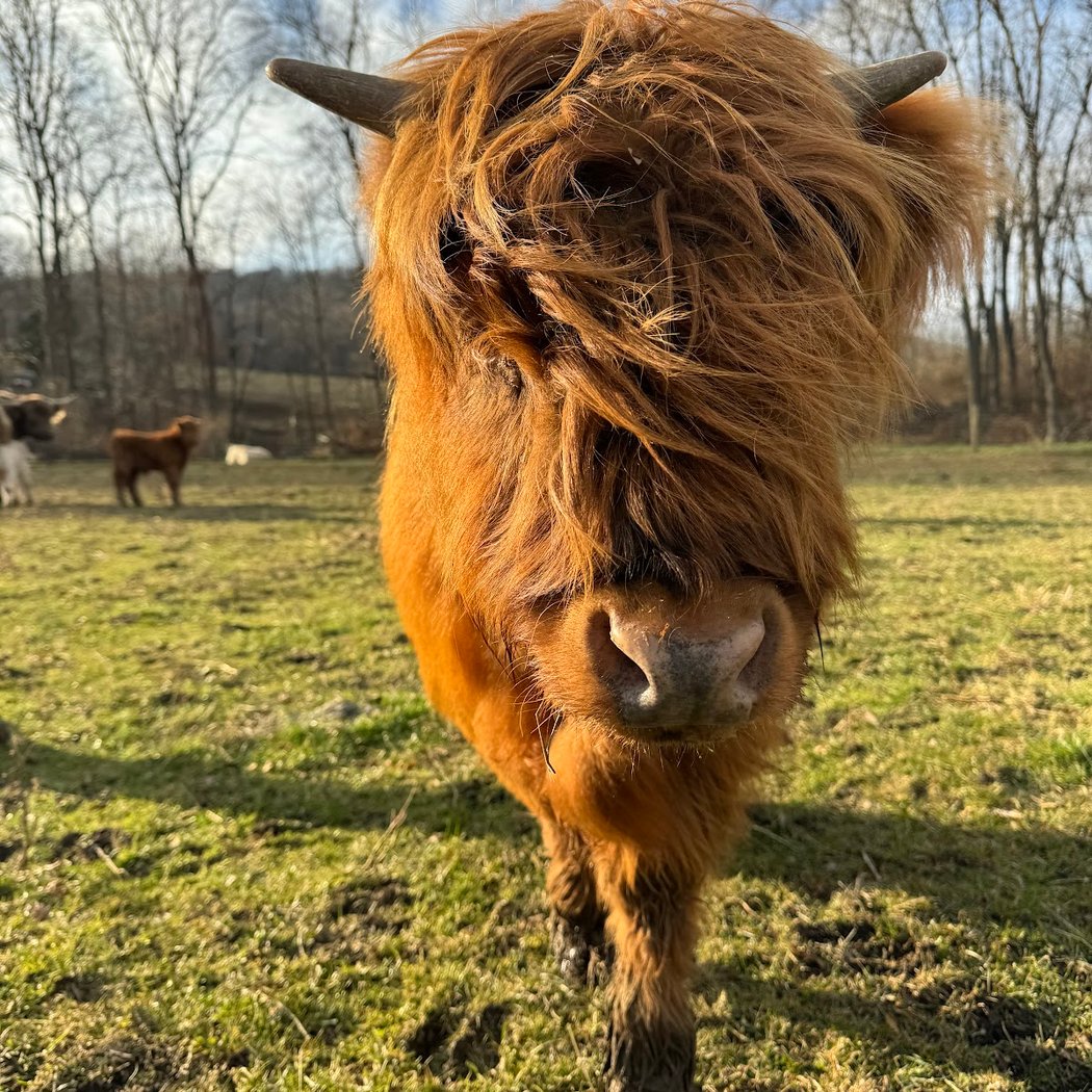 Elk Ravine Farm 3