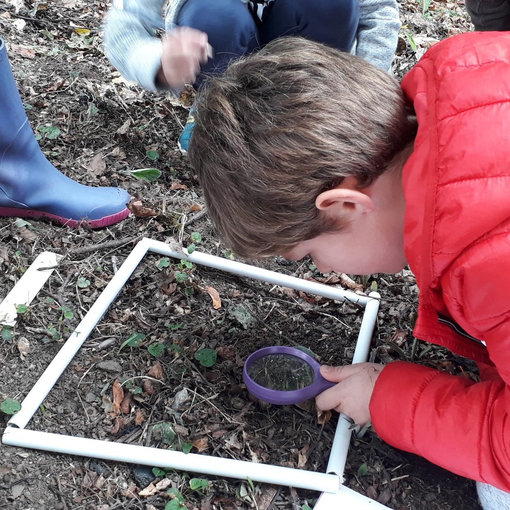 Biodiversité 1