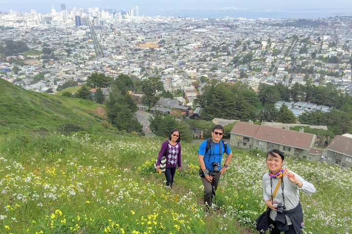 San Francisco Urban Hike: Castro and Twin Peaks 1