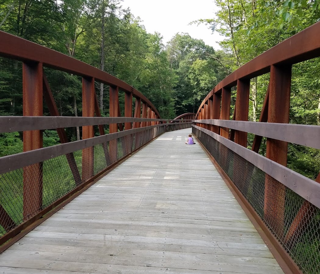 Swatara State Park 2