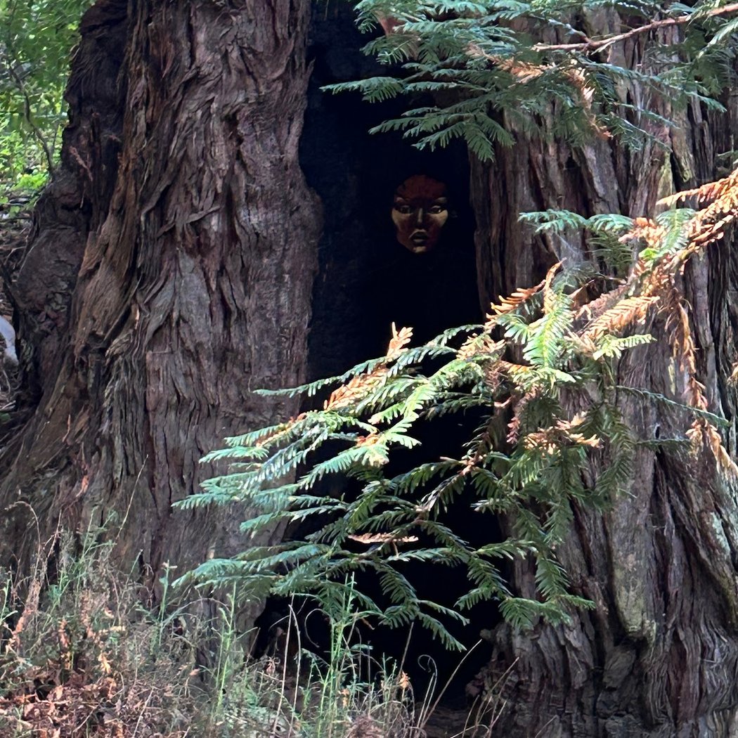 Guided Sculpture Hike 3