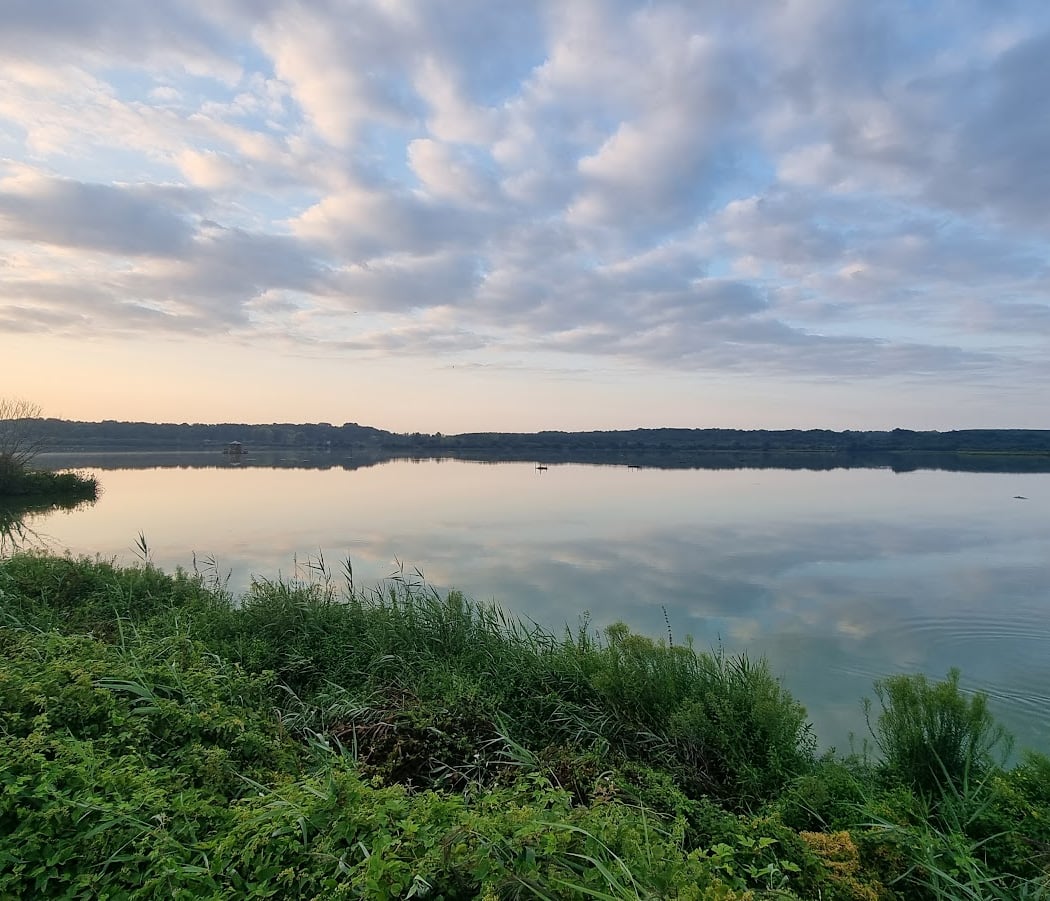 Réserve Naturelle Nationale du Marais d'Orx 1