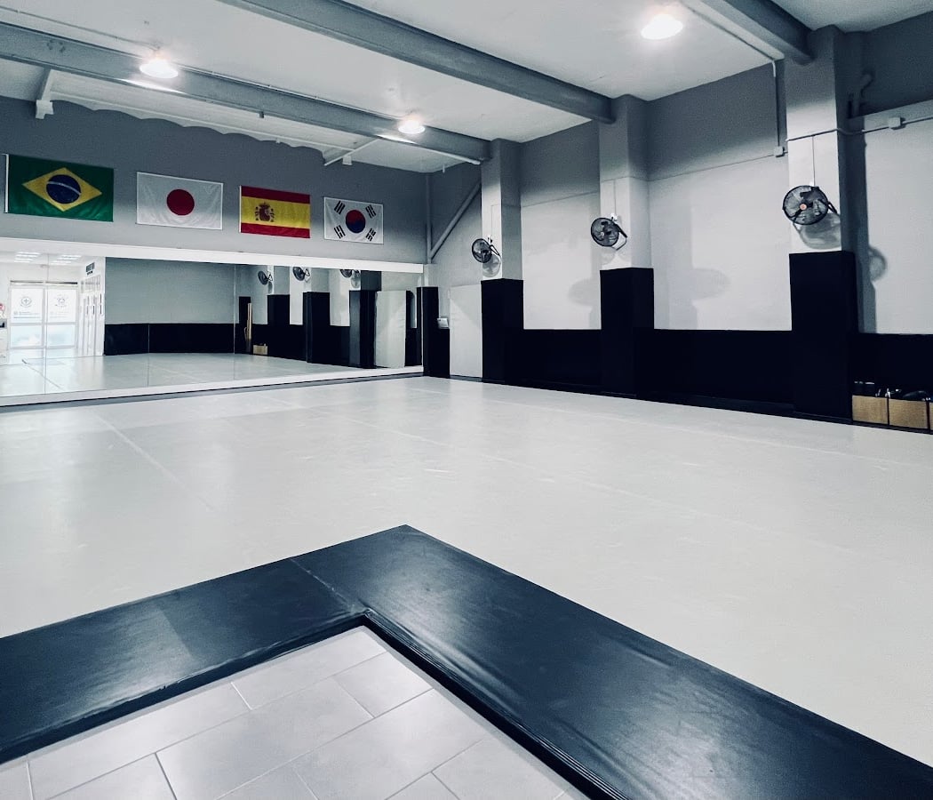 International Martial Arts Academy 2