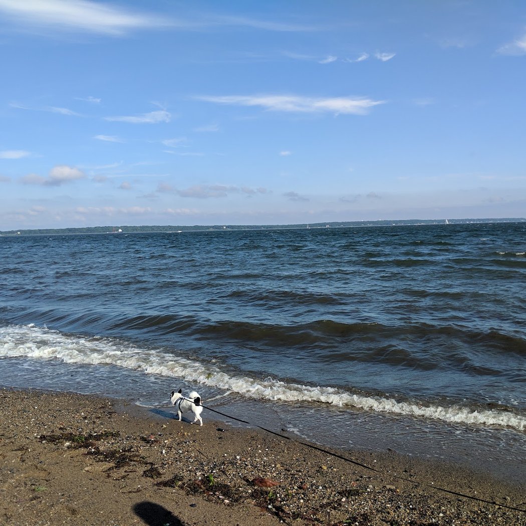 Compass Rose Beach 3