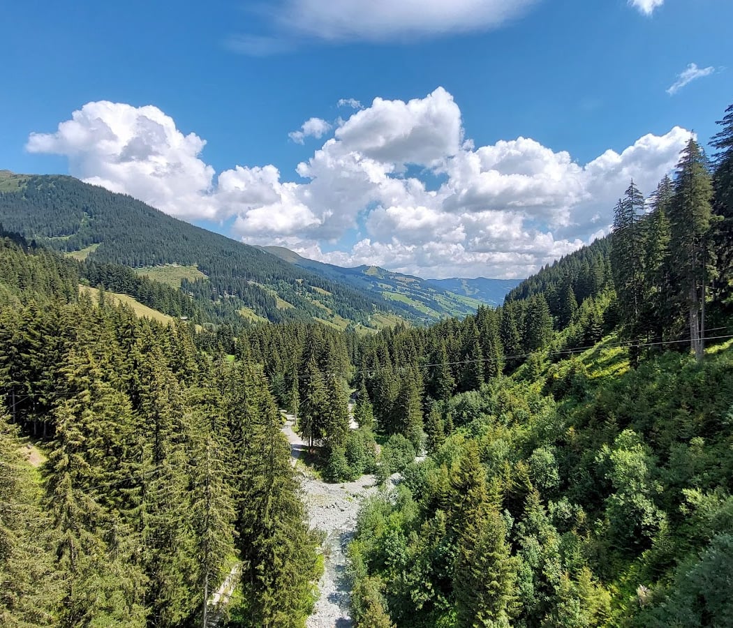 Glemmtaler Baumzipfelweg 3