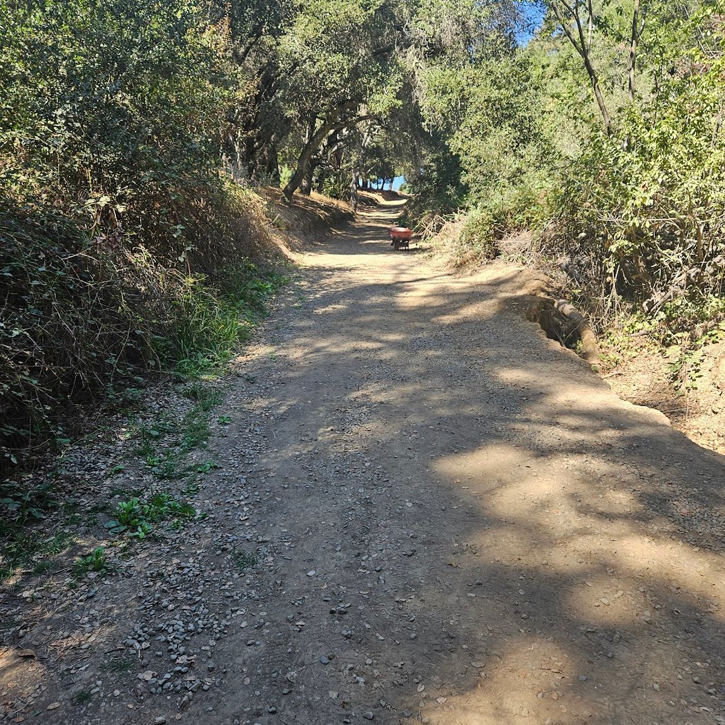 East Avenue Park 3
