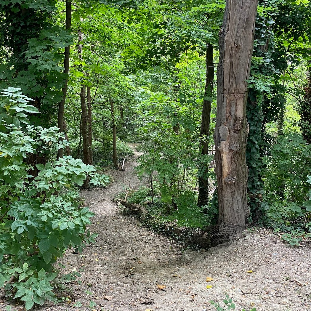 Parc de la République 3