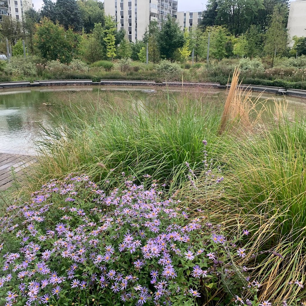 Bassin d'agrément de Louvois 1