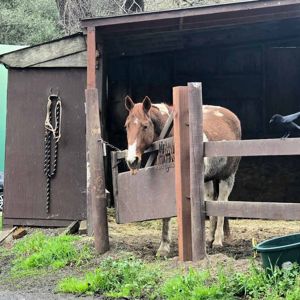 Dickson Ranch 3