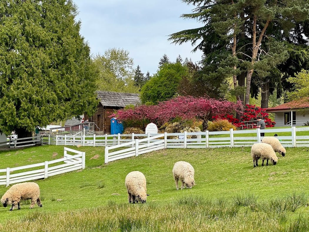 Kelsey Creek Farm 2