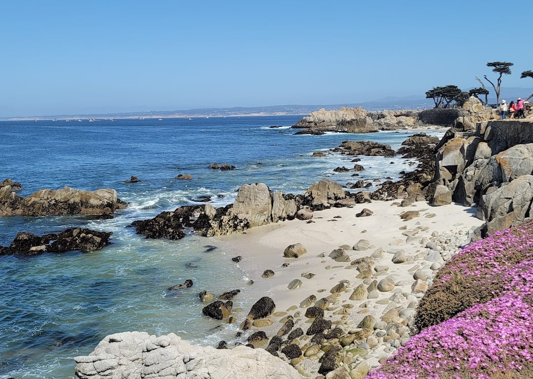 Pacific Grove 1
