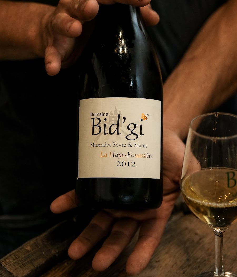 Domaine Bid'gi 1
