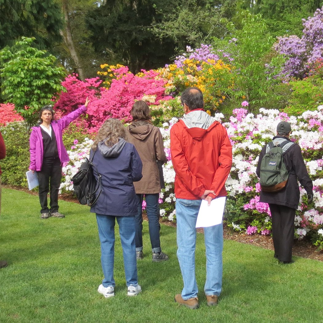 Arboretum Walking Tour