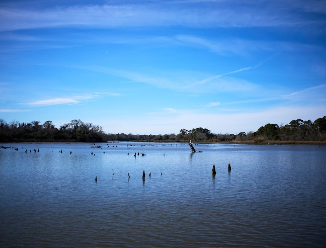 Armand Bayou Nature Center 3