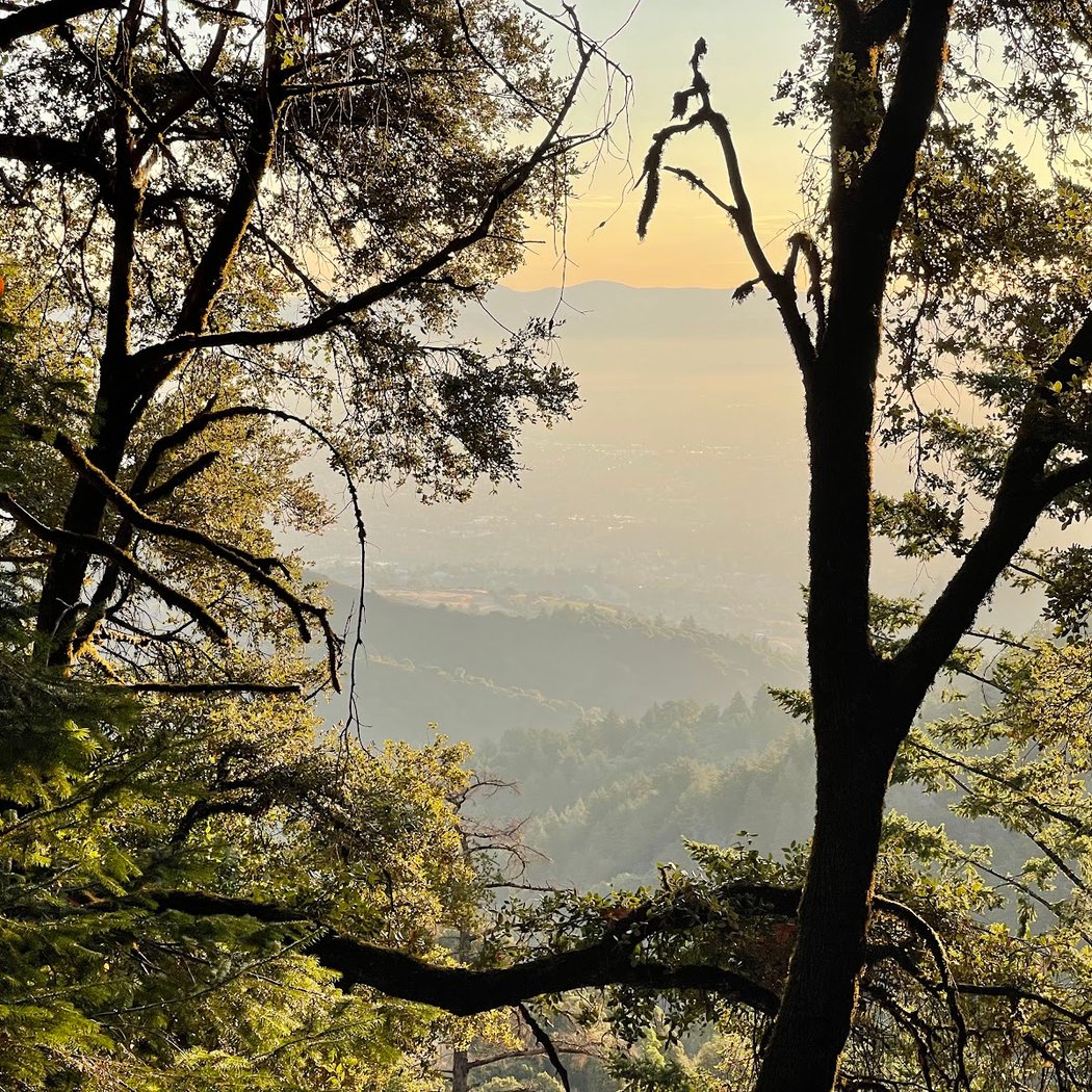 Skyline Trail 2