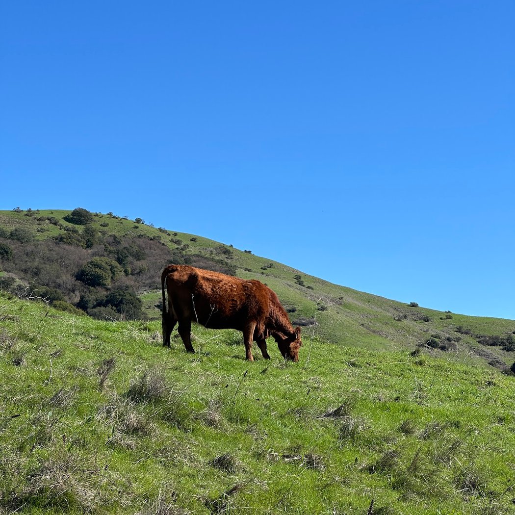 Rifle Range Road Trailhead 3