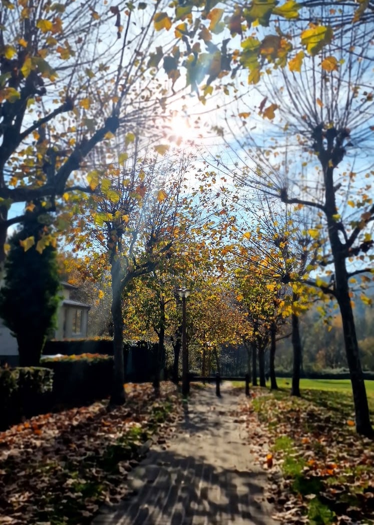 Promenade de l'Yvette 1