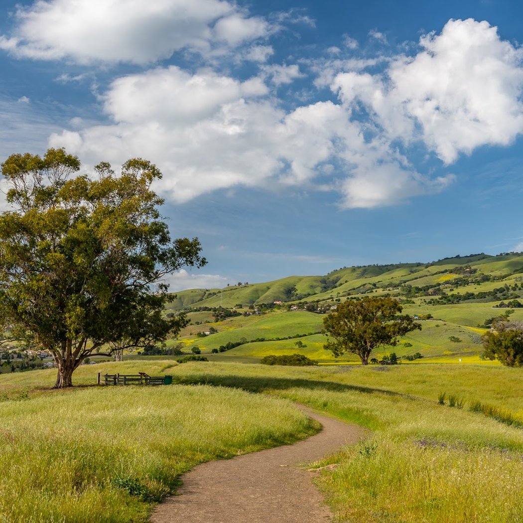 Montgomery Hill Park 3