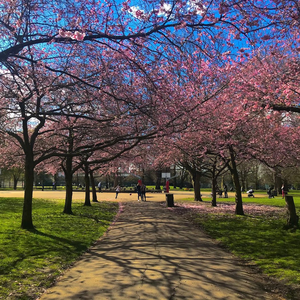 Ravenscourt Park 1