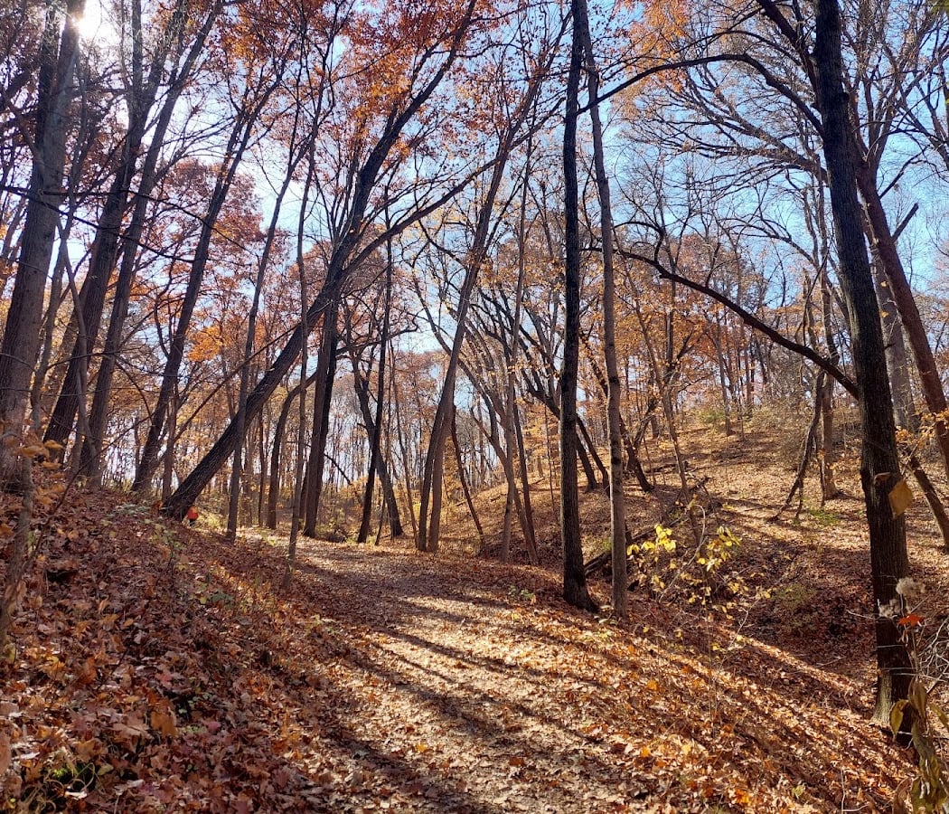 Margo Frankel Woods State Park 1