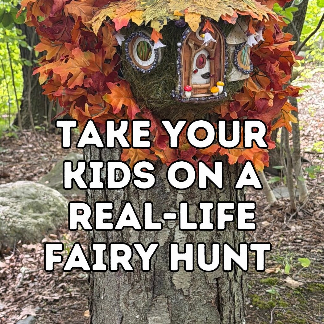 Fairy Hollow