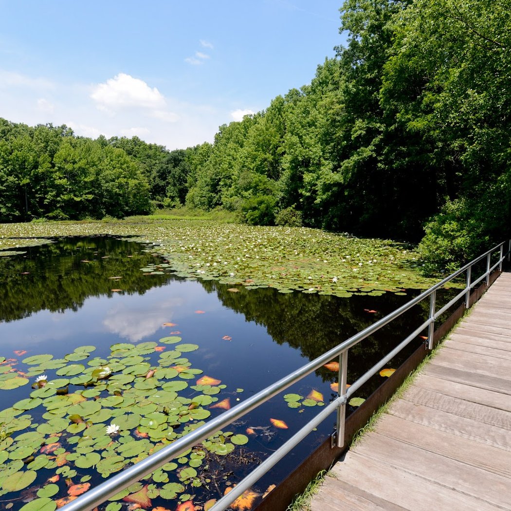Blue Heron Park 1