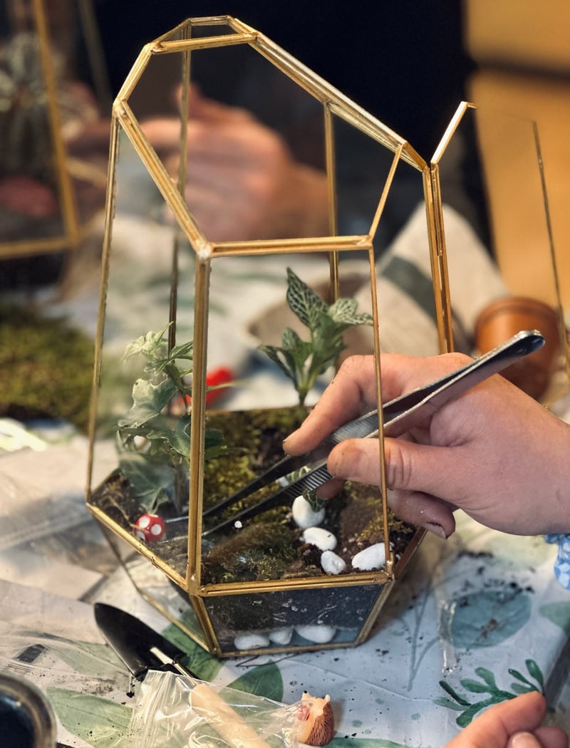 Terrarium Class 1