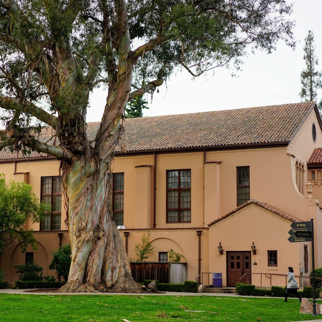Sequoia High School 3