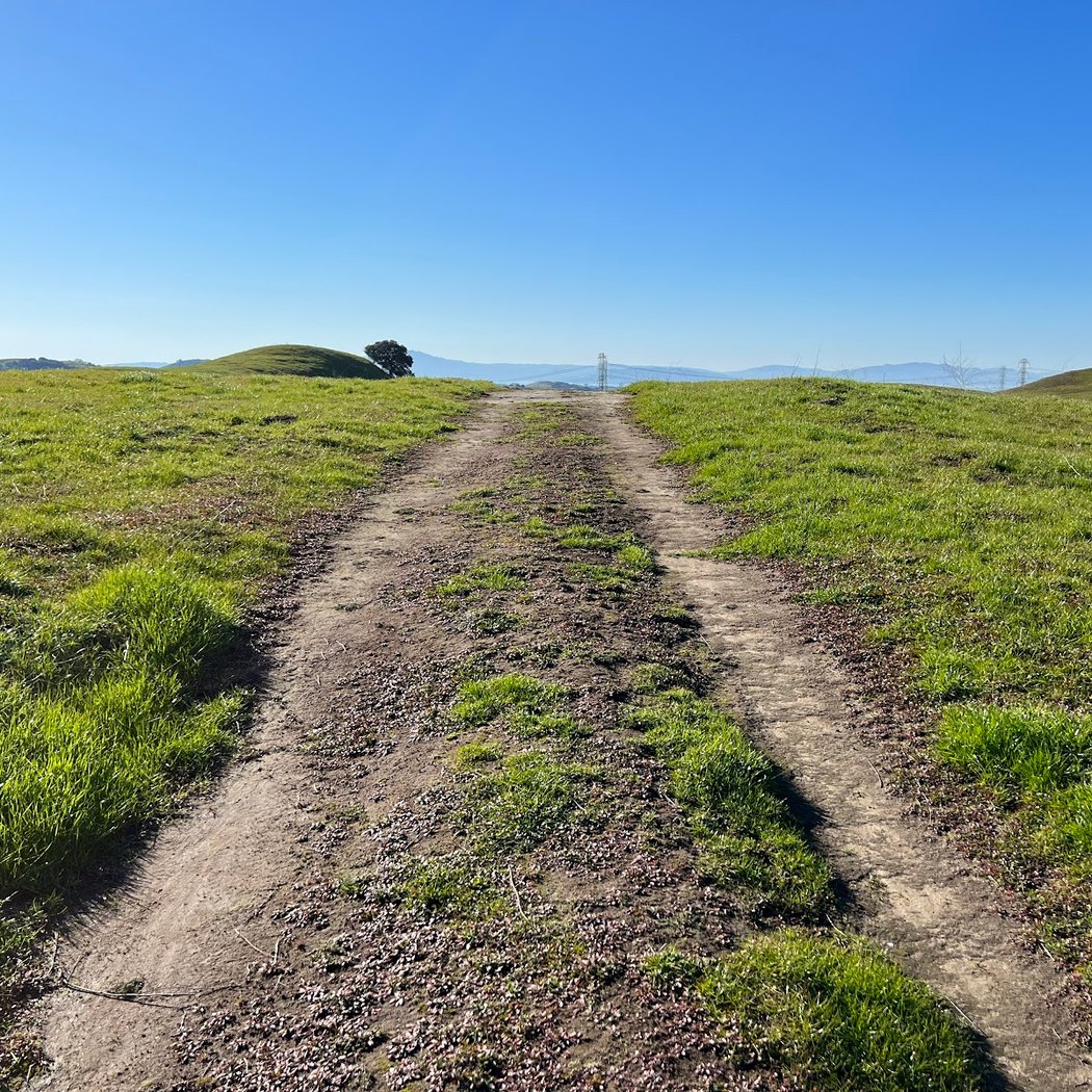 Fernandez Ranch BioBlitz 3