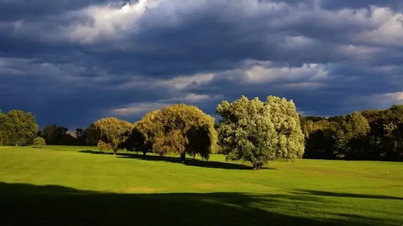 Pelham Bay and Split Rock Golf Courses 2