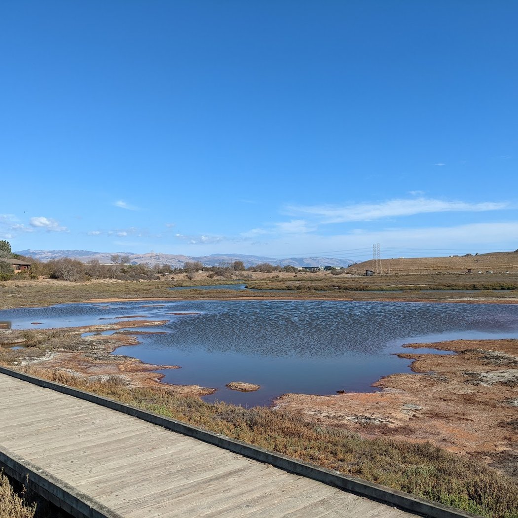 Volunteer Opportunity at Environmental Education Center 2