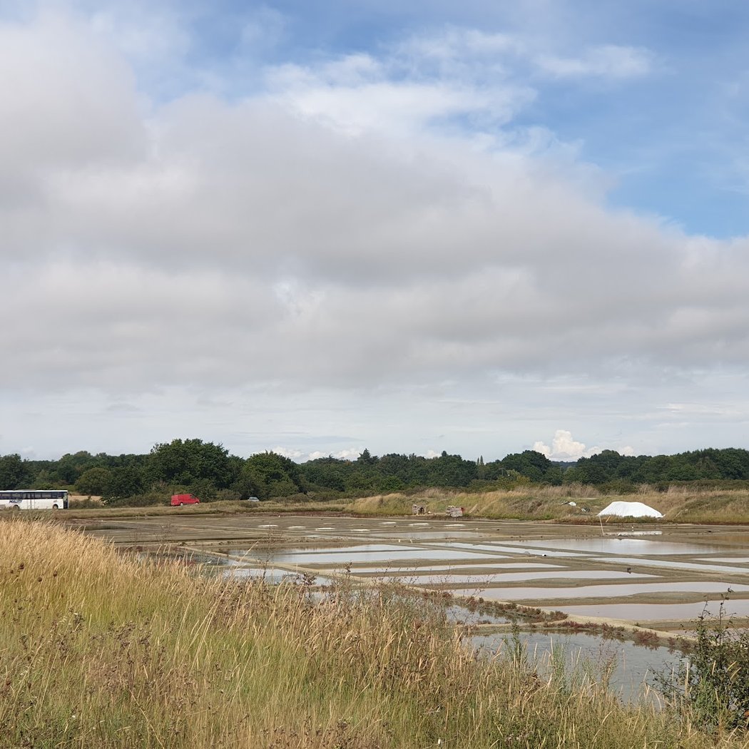 Marais salants du bassin de Mesquer 2