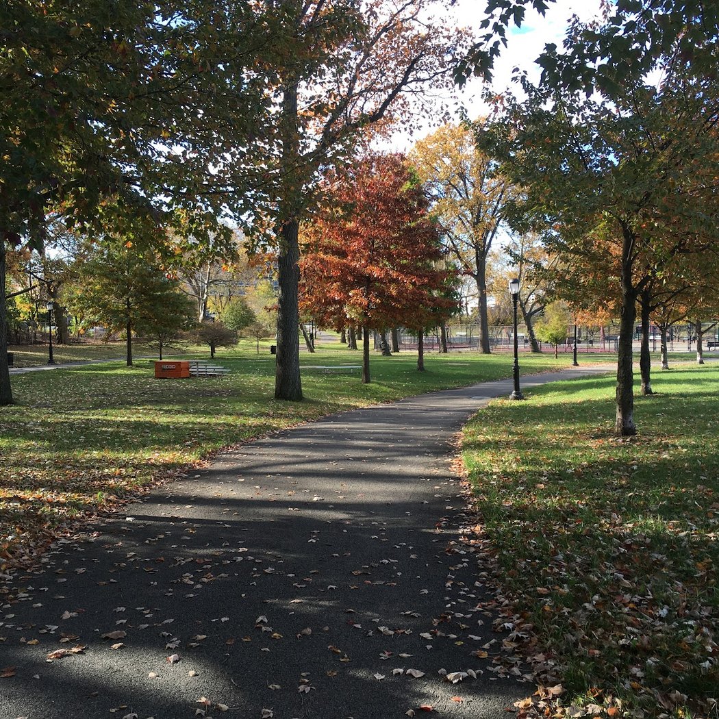 Harvey Park 1