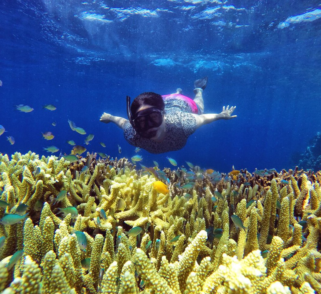 Open Trip Menjangan Tabuhan 3