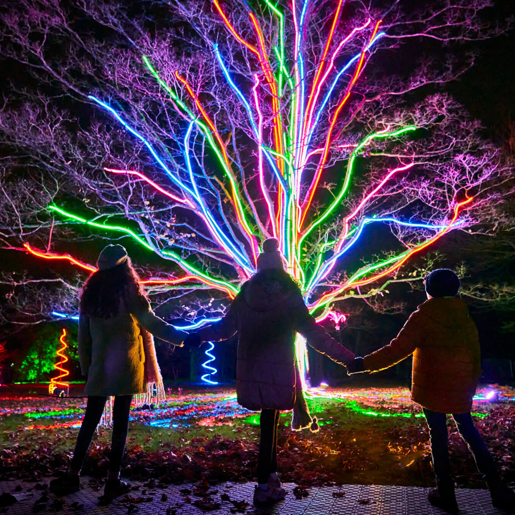 Lightscape: Member Preview Party 1