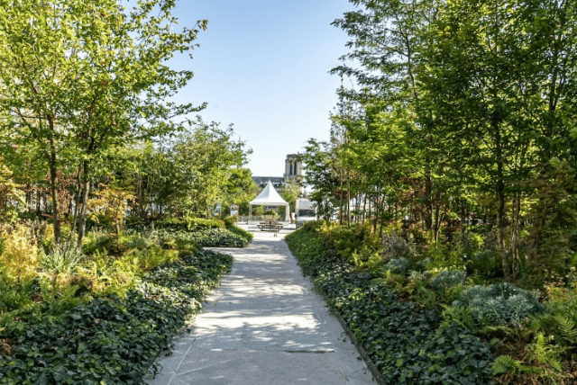 Urban Forest and Green-Themed Activities 1