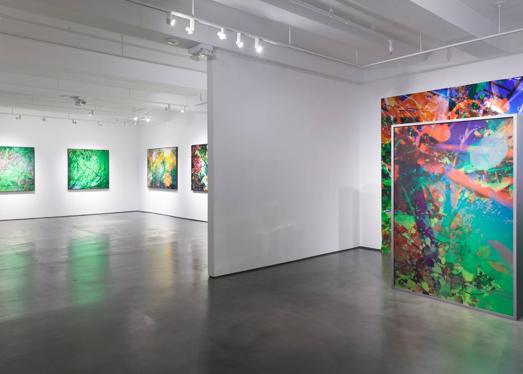 Vincent Vallarino: Timeless Beauty, Unseen Realities - Photography 2