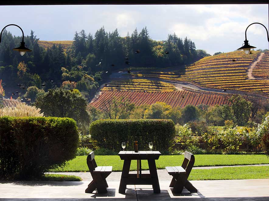deLorimier Winery 1