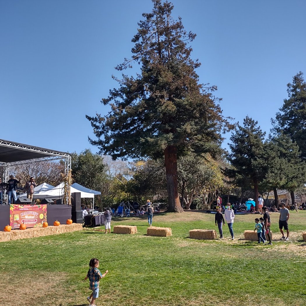 Cedar Rose Park 3
