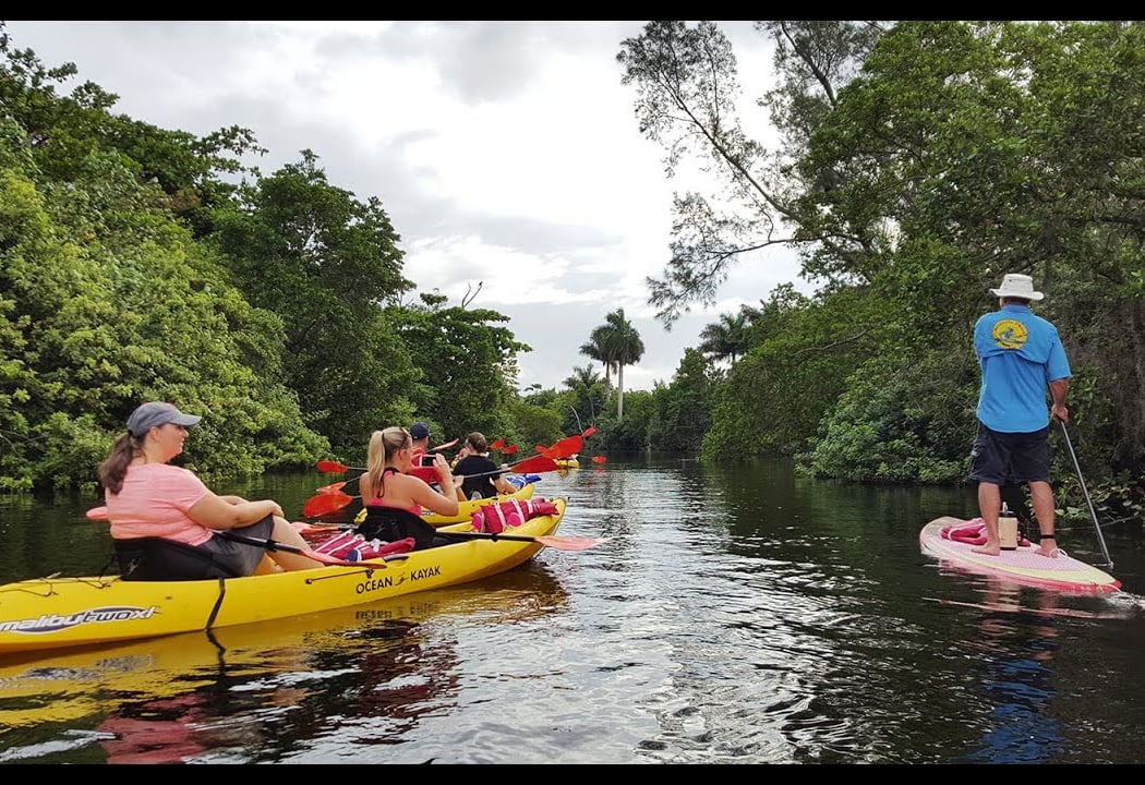 Kayaking & Nature Trails at Hugh Taylor Birch State Park 1