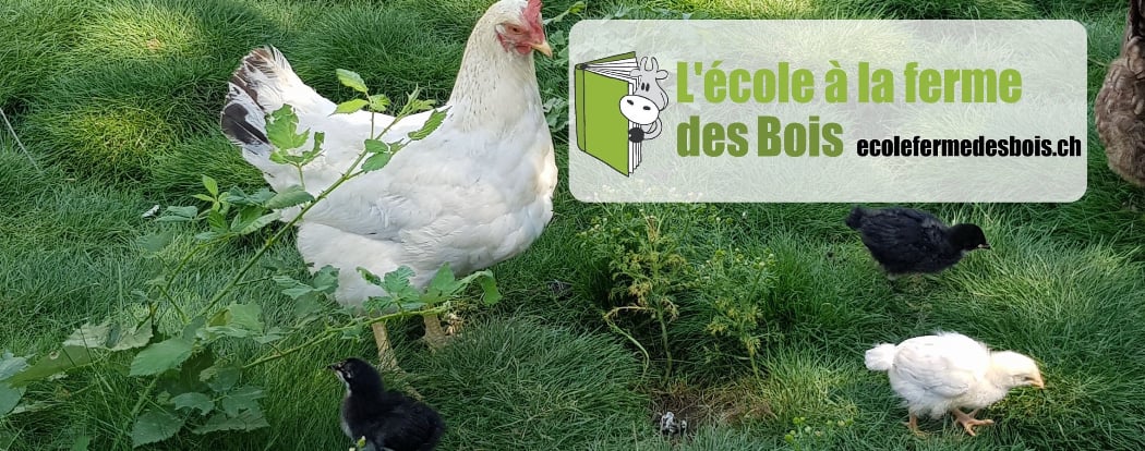 School Farm Des Bois 1