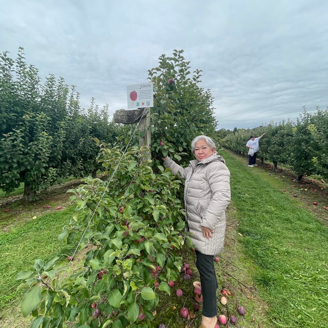 Easy Pickin's Orchard 2