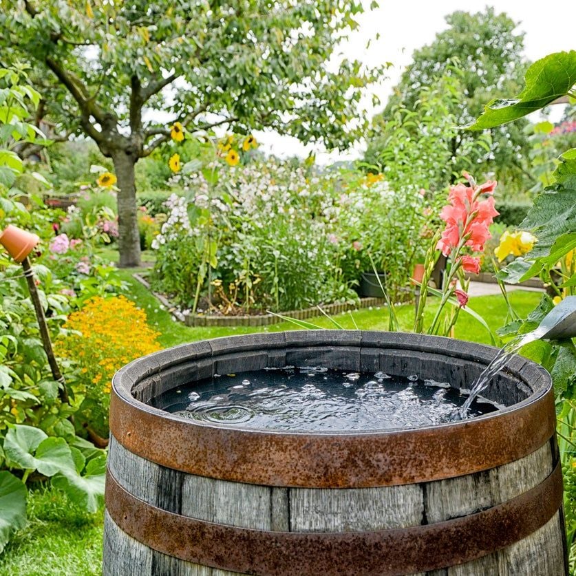 Rain Barrel Workshop 3