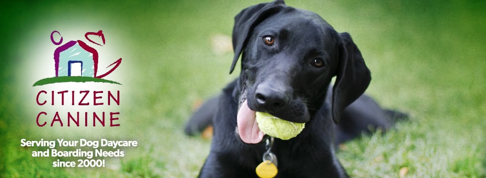 Citizen Canine 2